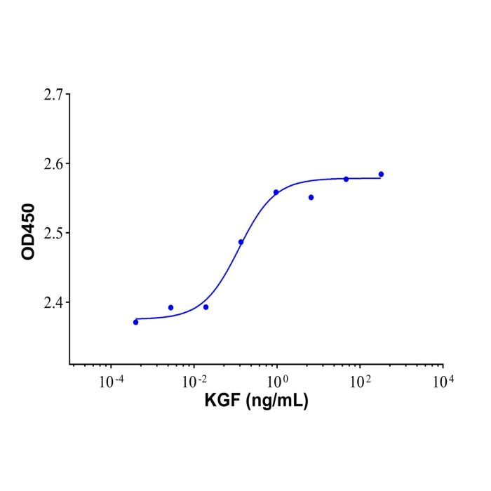 Recombinant Human KGF/FGF-7 Protein