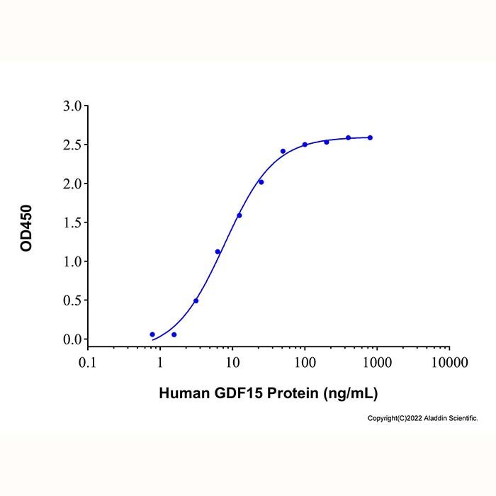 Recombinant Human GFR alpha-like Protein