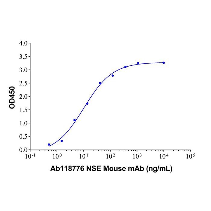 Recombinant Human NSE Protein