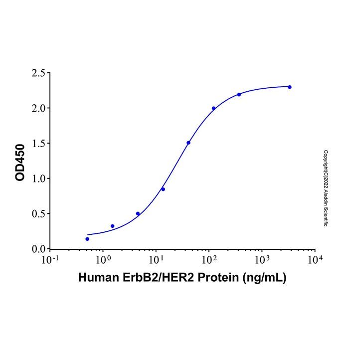 Recombinant Human ErbB2/HER2 Protein