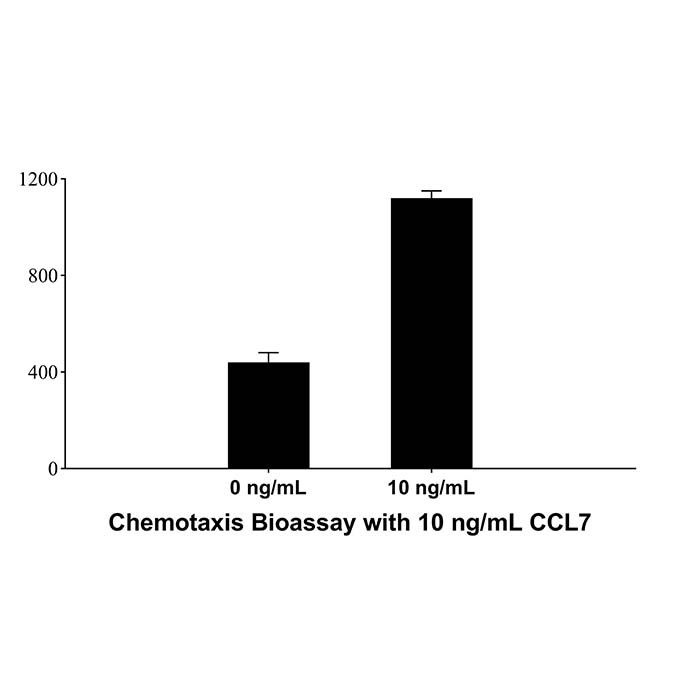 Recombinant Human  CCL7/MCP-3 Protein