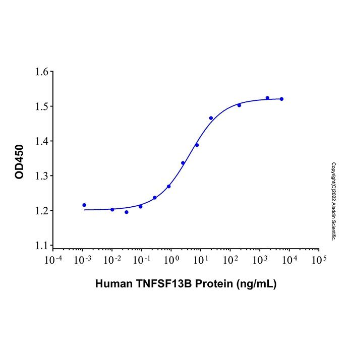 Recombinant Human BAFF/BLyS/TNFSF13B Protein