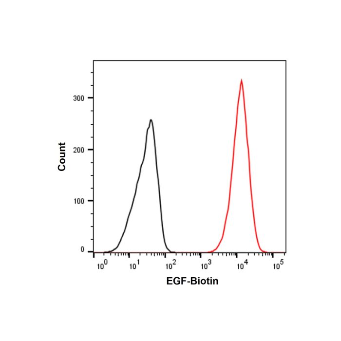 Recombinant Human EGF Protein (Biotin)