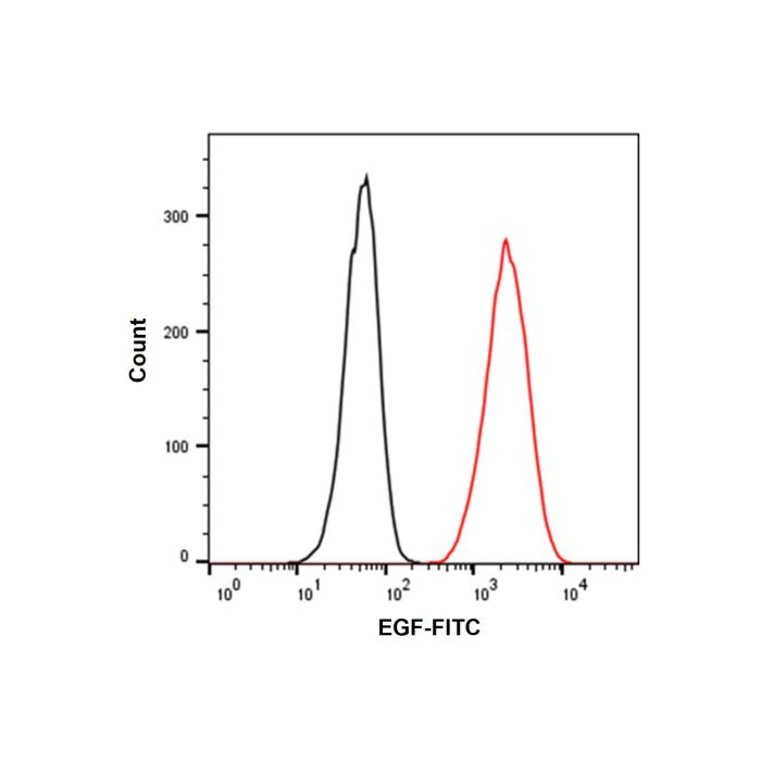Recombinant Human EGF Protein (FITC)