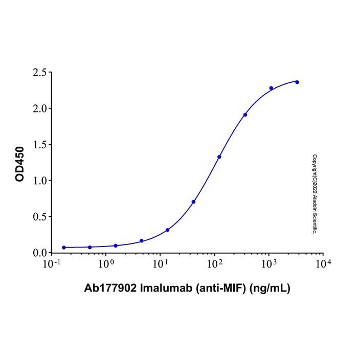 Recombinant Human MIF Protein