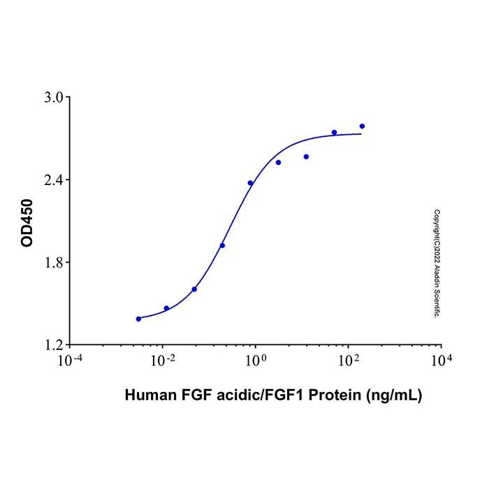 Recombinant Human FGF acidic/FGF1 Protein