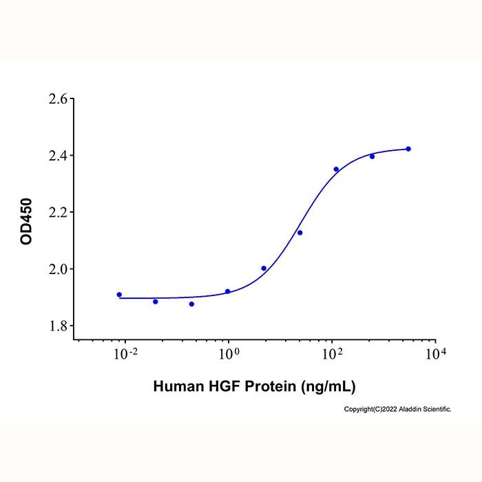 Recombinant Human HGF Protein