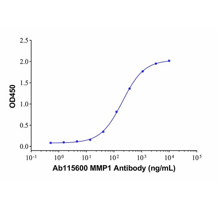 Recombinant Human MMP-1 Protein