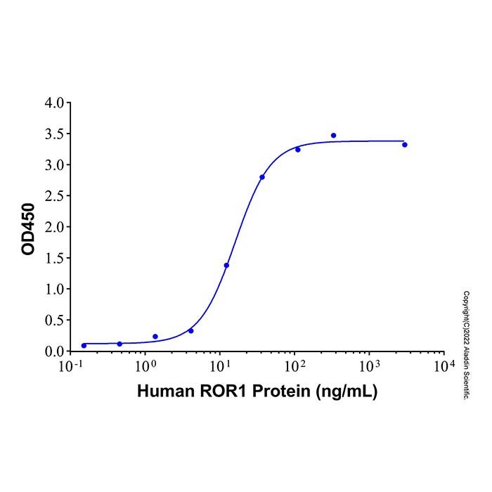 Recombinant Human ROR1 Protein