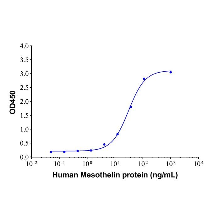 Recombinant Human Mesothelin Protein