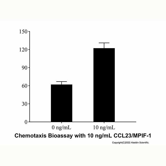 Recombinant Human CCL23/MPIF-1 Protein
