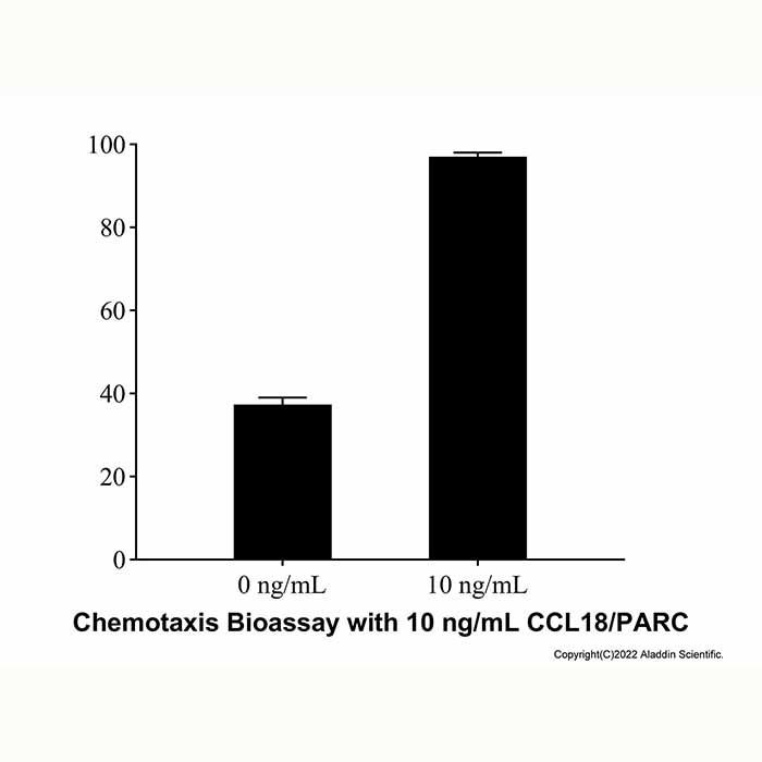 Recombinant Human CCL18/PARC Protein