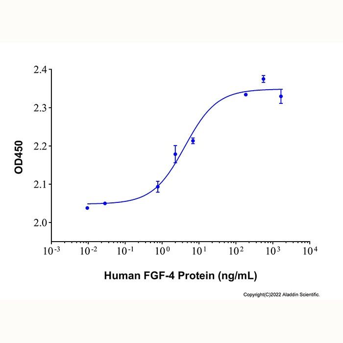 Recombinant Human FGF-4 Protein