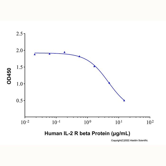 Recombinant Human IL-2 R beta Protein