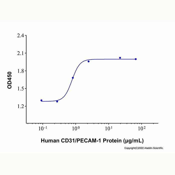 Recombinant Human CD31/PECAM-1 Protein