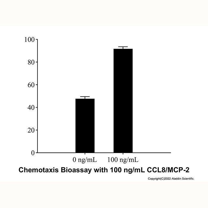Recombinant Human CCL8/MCP-2 Protein