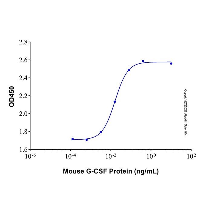 Recombinant Mouse G-CSF Protein