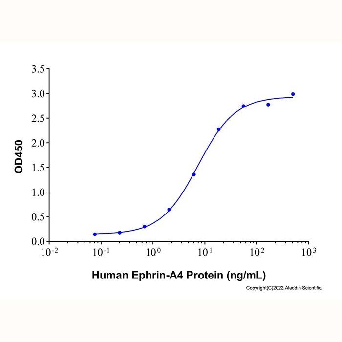 Recombinant Human EphA2 Protein