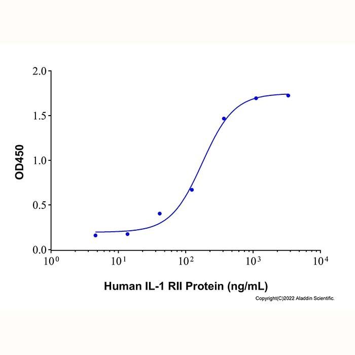 Recombinant Human IL-1 RII Protein