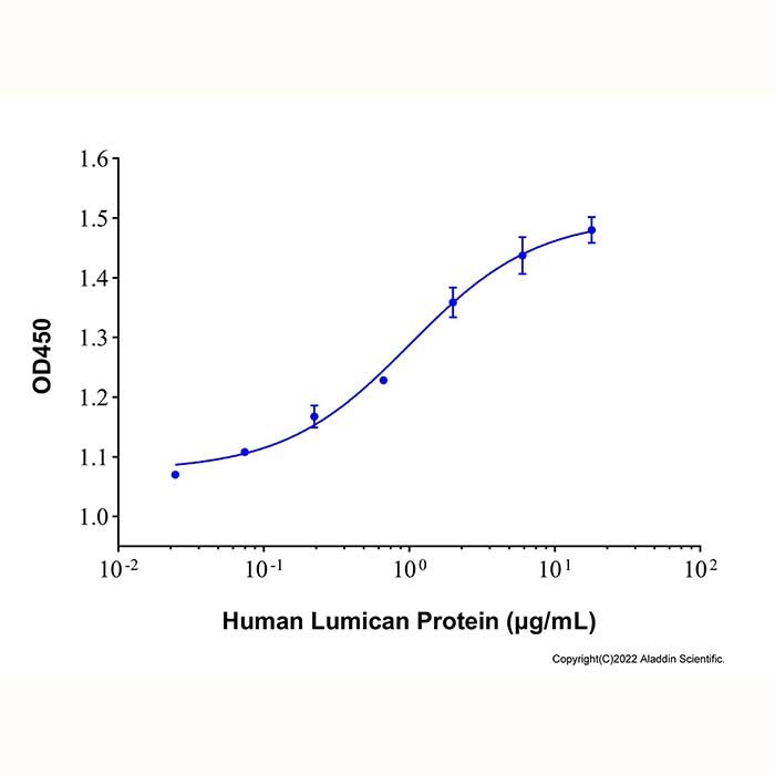 Recombinant Human Lumican Protein