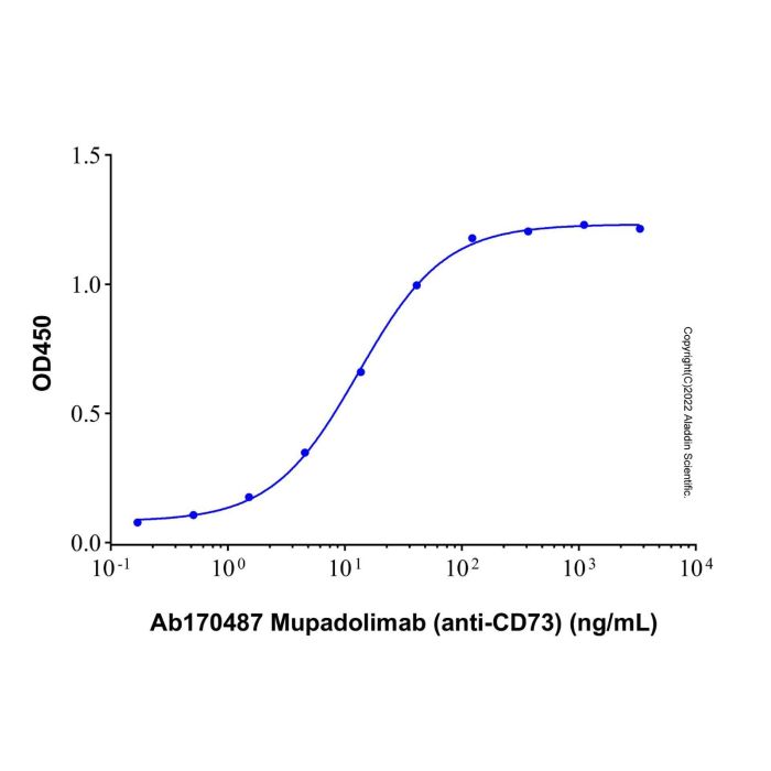 Recombinant Human 5'-nucleotidase/CD73 Protein