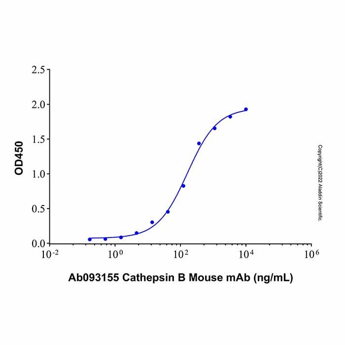 Recombinant Human Cathepsin B Protein
