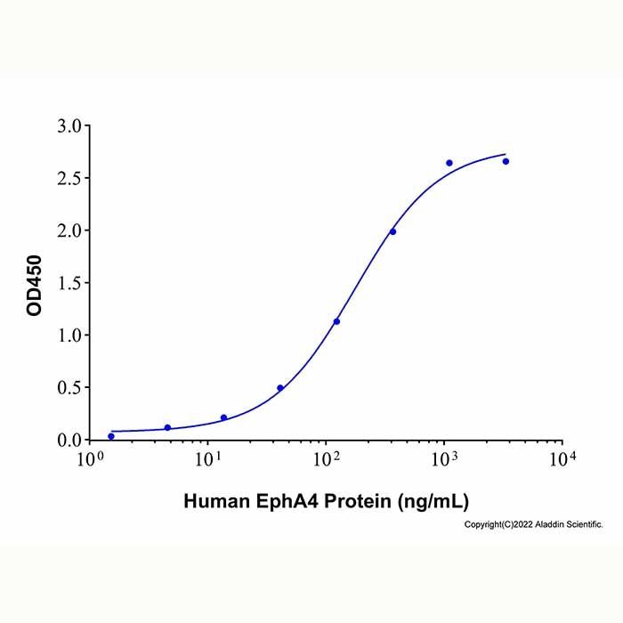 Recombinant Human Ephrin-A5 Protein