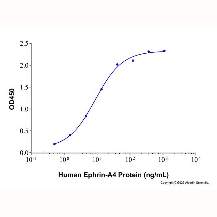 Recombinant Human EphA4 Protein