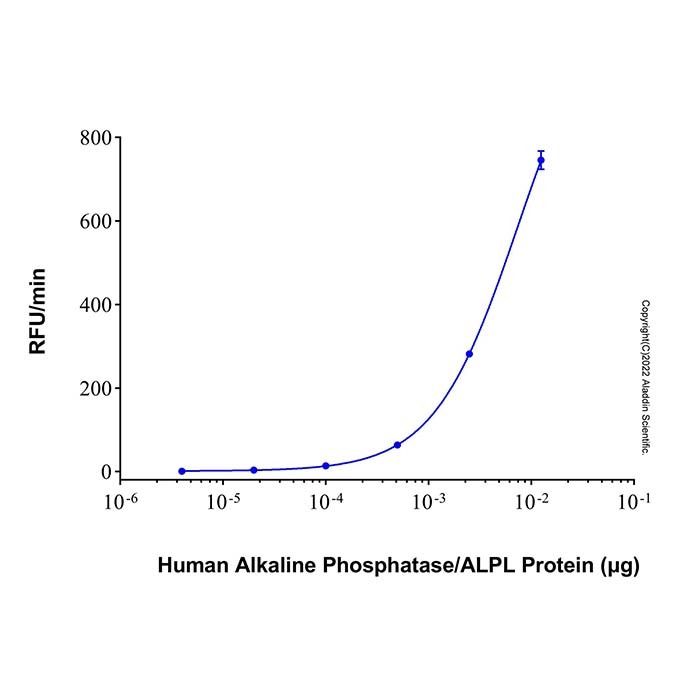Recombinant Human Alkaline Phosphatase/ALPL Protein