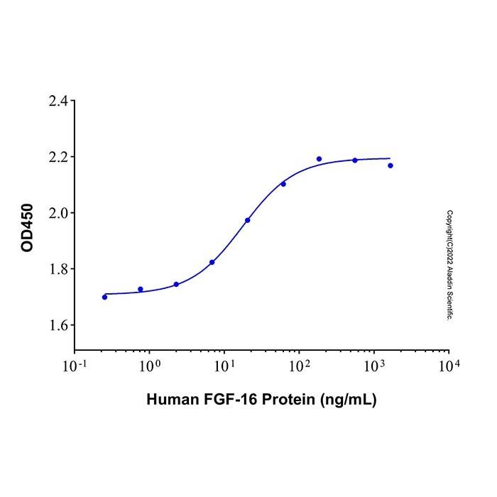 Recombinant Human FGF-16 Protein