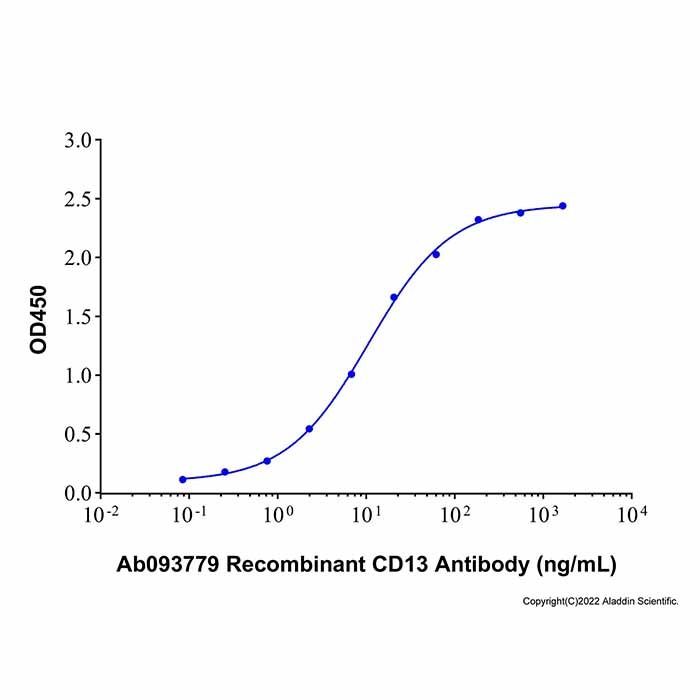Recombinant Human Aminopeptidase N/CD13 Protein