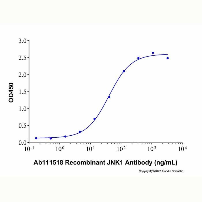 Recombinant Human JNK1 Protein