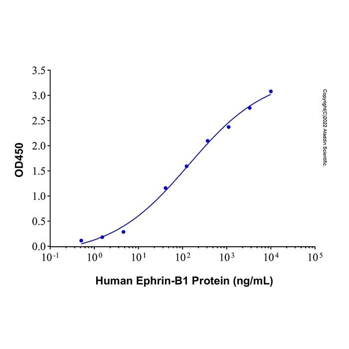 Recombinant Human EphB3 Protein