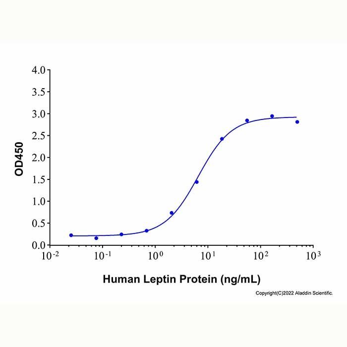 Recombinant Human Leptin Receptor Protein