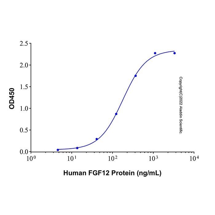Recombinant Human FGF-12 Protein