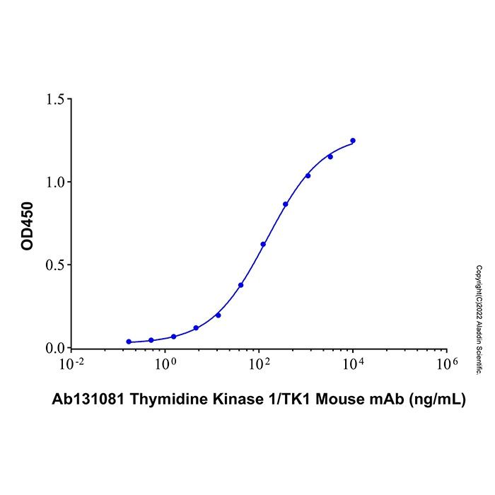 Recombinant Human Thymidine Kinase 1 Protein