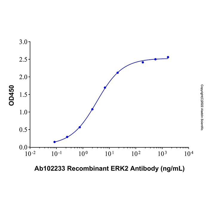 Recombinant Human ERK2 Protein