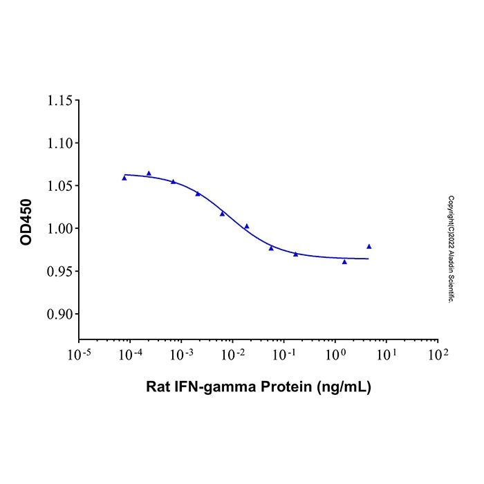 Recombinant Rat IFN-gamma Protein