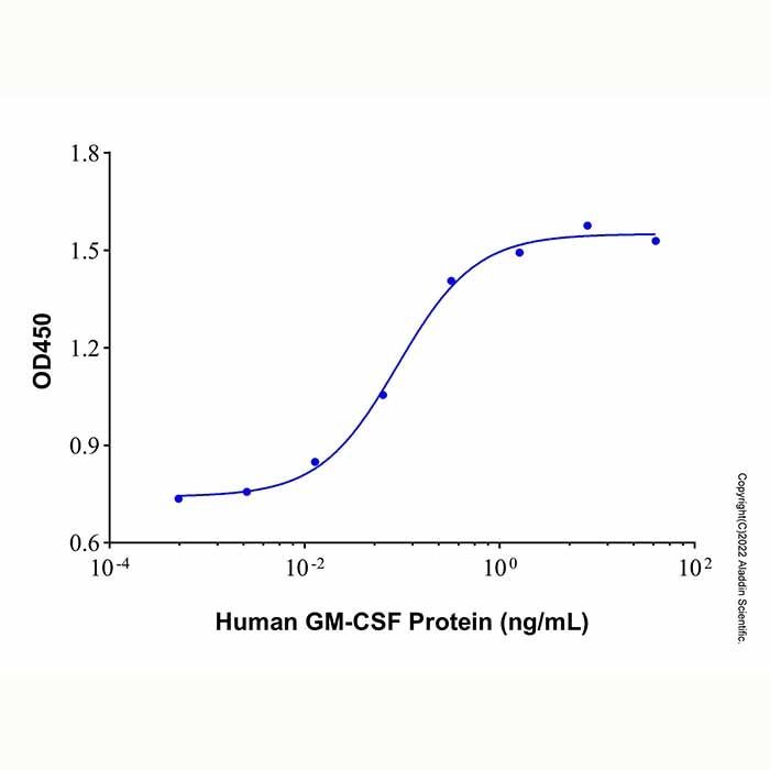 Recombinant Human GM-CSF Protein
