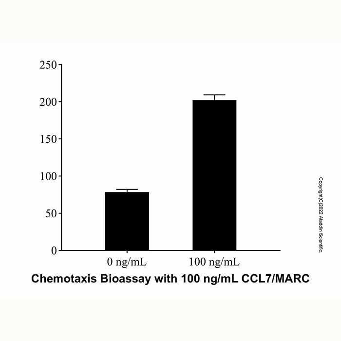 Recombinant Mouse CCL7/MARC Protein