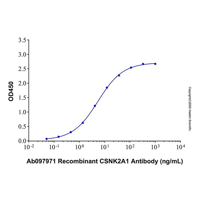 Recombinant Human Casein Kinase 2 alpha Protein