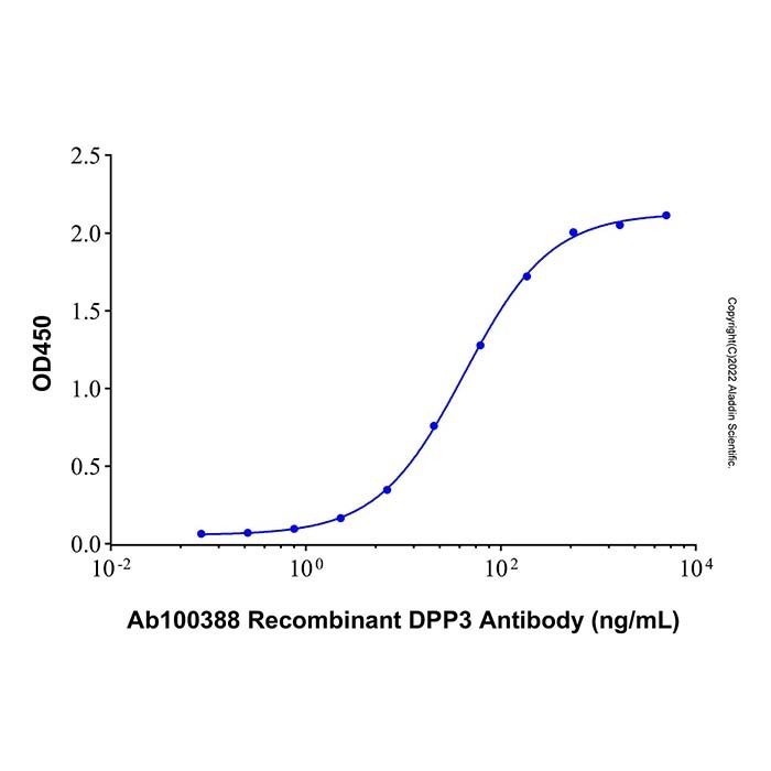 Recombinant Human DPP3 Protein