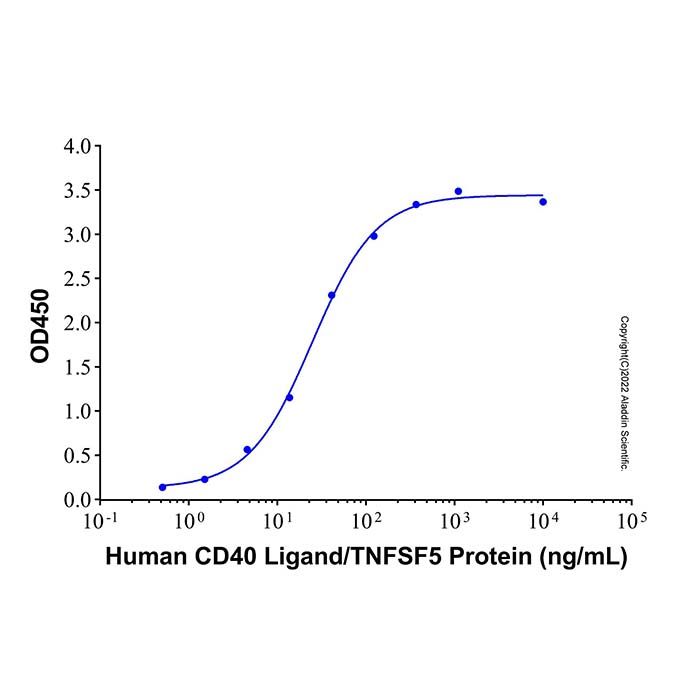 Recombinant Human CD40 Ligand/TNFSF5 Protein