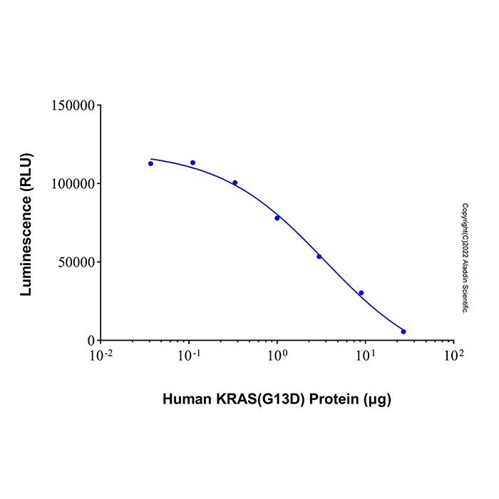 Recombinant Human KRAS (G13D) Protein