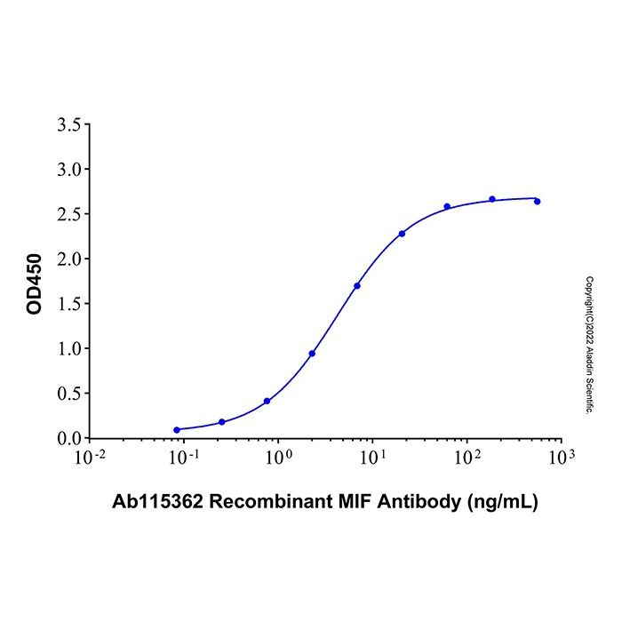 Recombinant Human MIF Protein