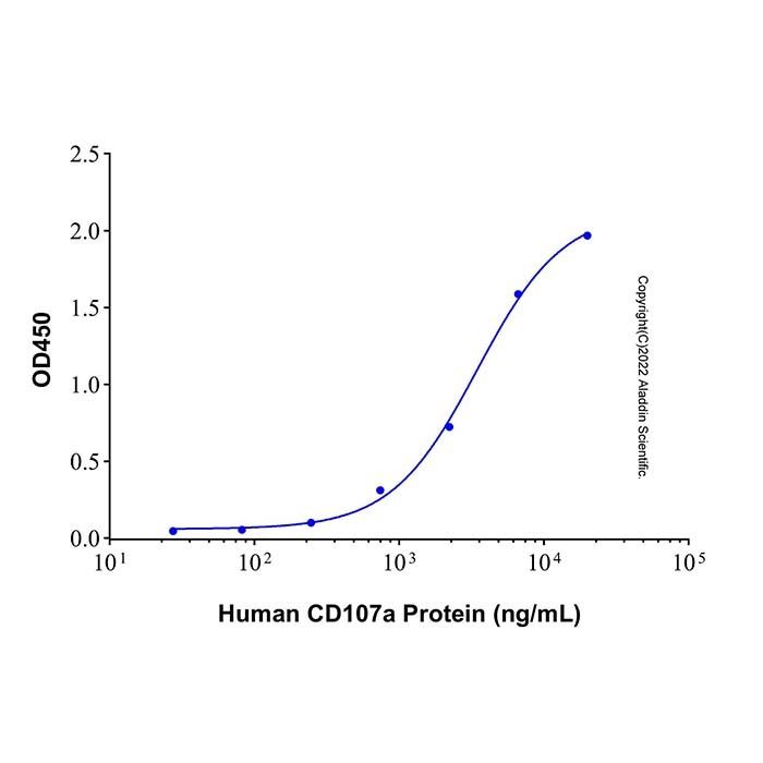 Recombinant Human LAMP-1/CD107a Protein