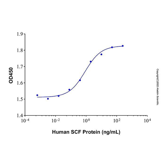 Recombinant Human SCF Protein