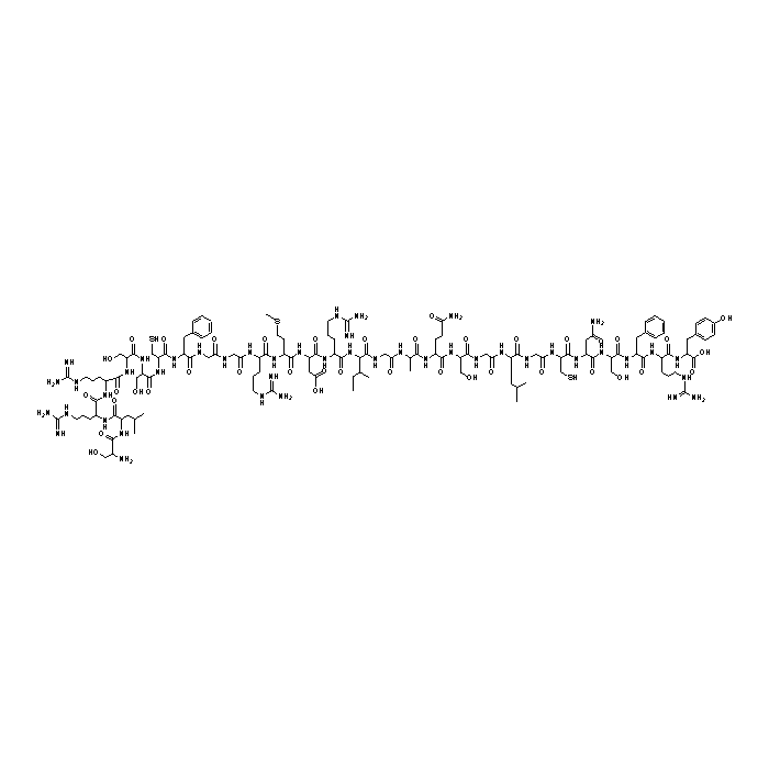 人α-ANF