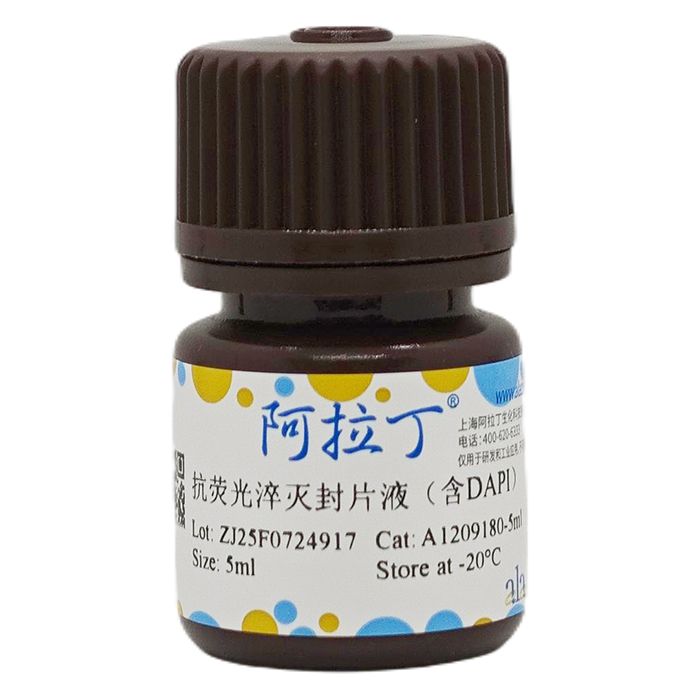 抗荧光淬灭封片液（含DAPI）