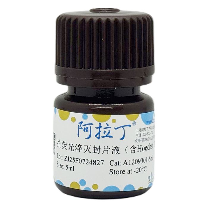 抗荧光淬灭封片液（含Hoechst 33342）